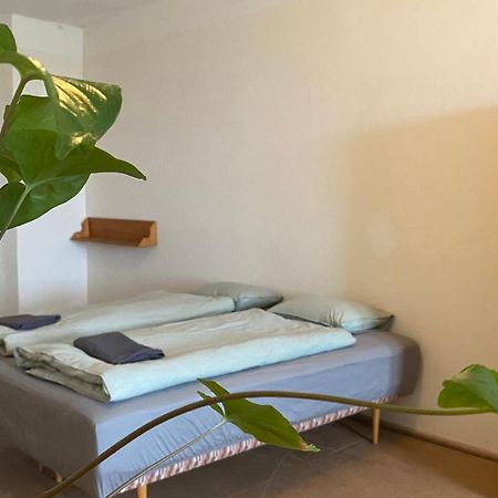Nezamek Hotel Hartmanice  Ngoại thất bức ảnh